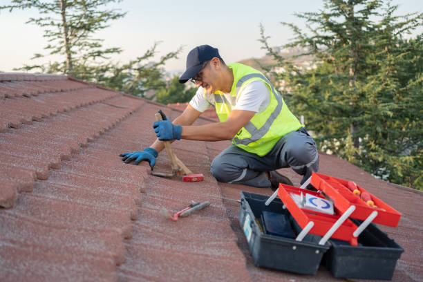 Best New Roof Installation  in Northville, MI