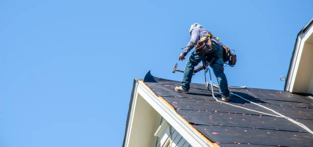 Best Local Roofing Companies  in Northville, MI